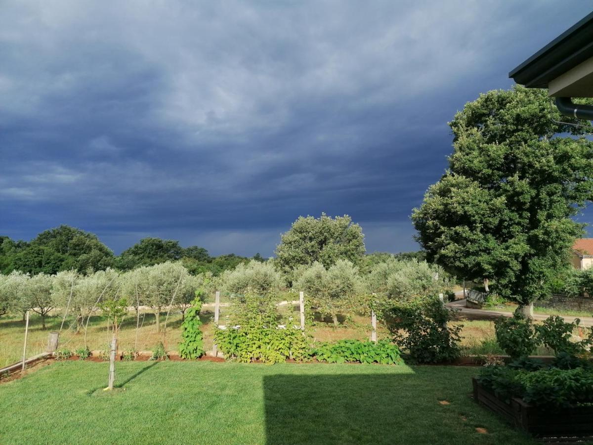Ferienresidenz Lavandula Nova Vas  Esterno foto